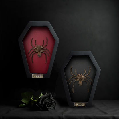 Real Spider Tarantula Gothic Witchy Spooky Beetle Bug Entomology Shadow Box Insect Oddity Curiosities Taxidermy Wall Art Home Decor Living Gallery CF18-56-DO