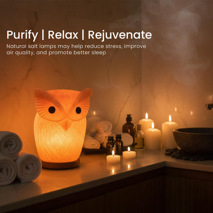 Himalayan Salt Lamp Owl Shape – 7 Inch High, 4.4 lbs, Hand-Crafted Natural Pink Rock Salt Lamp with Wooden Base & Dimmer Cable