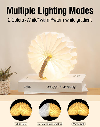 ZBOLE Originality Folding Accordion Lamp, Warm Light Lamp, Portable Desk Lamp, Japanese Gifts, Creative LED Paper Lantern with USB for Home Decoration(Bamboo)