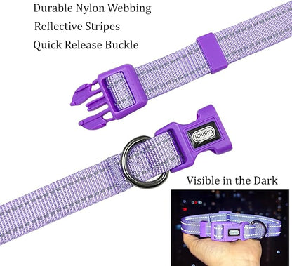 Dog Collar Leash Set, Durable Polyester with Reflective Strips, 5ft Matching Leash, Adjustable 4 Sizes for Small Medium Large Dogs.(S, Purple)