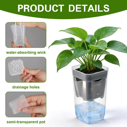 12 Pack 2" Small Self Watering Pots for Indoor Plants Mini Clear Plastic Planters with Water Level and Drainage Holes with Plant Labels and Wick Cord for Succulents, Propagation, and African Violet
