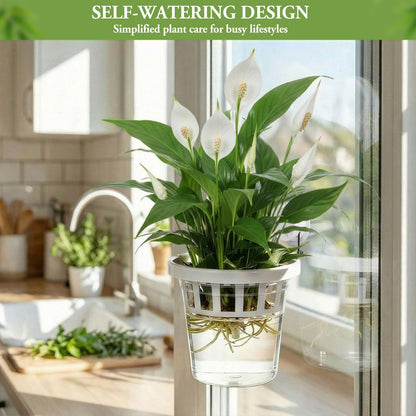 Teecyhooo 4 Set Window Propagation Stations Plastic Wall Hanging Planter with Suction Cups Clear Self Watering Window Mounted Plant Pots for Indoor Plants Bathroom Living Room Office Decor Gift