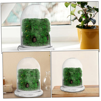 VANZACK 2pcs Moss Landscape Bottle DIY Plant Terrarium Glass Container for Indoor Home