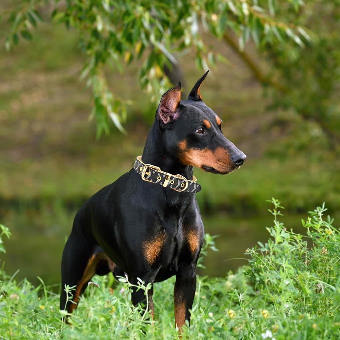 Leather Dog Collar and Leash Set, Check Pattern Dog Collar Leashes Metal Buckle Adjustable Durable for Small Medium Large Dogs (Black, L(14.5-18.5IN))