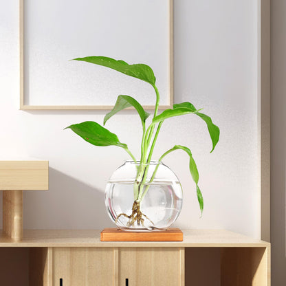 OSOLADY Glass Hydroponic Vase with Wooden Base, Plant Propagation Station for Office and Home Décor, Tabletop Glass Terrarium Hydroponics Display Ornament