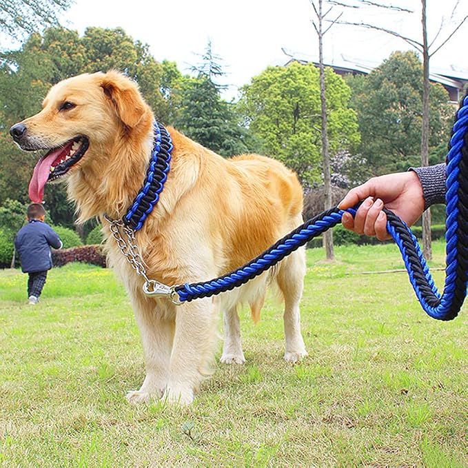 Love Dream Dog Collar and Leash Set, Heavy Duty Nylon Braided Rope Strong 4 FT Dog Leash and Martingale Training Collar for Small Medium Large Dogs Training and Walking (Blue & Black)