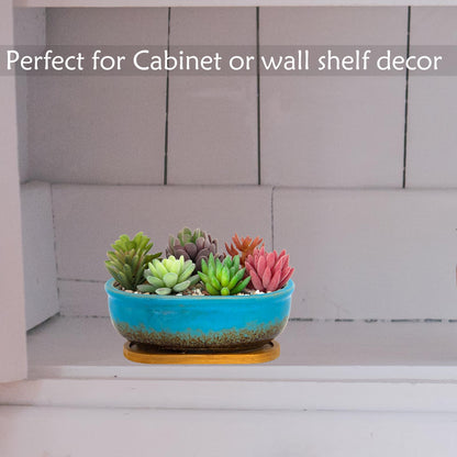 ARTKETTY Succulent Pots, 7.9'' Large Ceramic Pots for Indoor Cactus Plants, Shallow Succulent Planters with Drainage Tray, Oval Bonsai Plant Container Bowl Garden Home Windowsill Decor