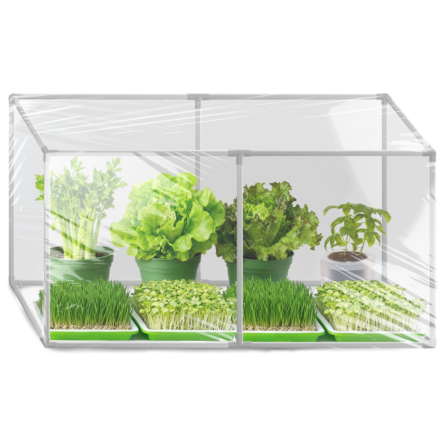 U0U Mini Greenhouse for Indoor Plants,Portable Small Greenhouse with Plastic Film,Indoor Greenhouses for Small Plant Seed Starter Tray, Sprouting
