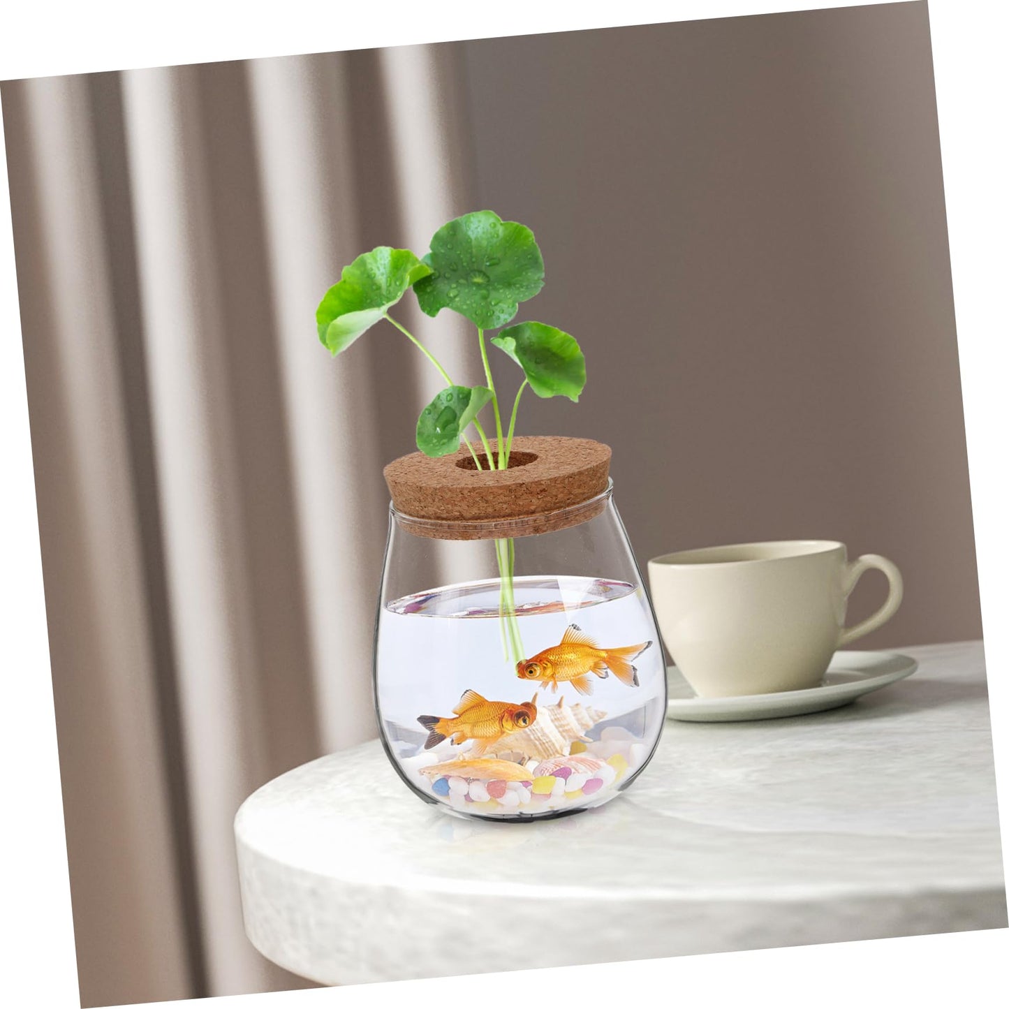 CIYODO Elegant Hydroponic Glass Vase for Indoor Plant Propagation Space Saving Terrarium for Home Decoration Minimal Maintenance Design for Plants
