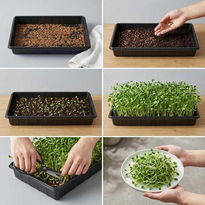 EXTYQWC 10 Plant Growing Trays,Plant Tray, Seed Tray, Seedling Tray, Propagation Tray, Plant Trays for Seedlings, Planting Trays, Seedling Starter Tray(No Drain Holes)
