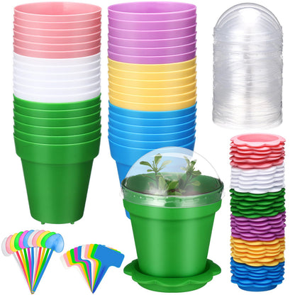 LOYIM 36 Packs Cupcake Plant Nursery Pots with Humidity Dome Small Flower Pots Plastic Planting Containers Cups with Saucers and Shovel for Indoor Outdoor Plant Succulent Display(Colorful)