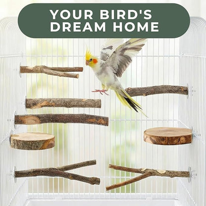 20 Pack Bird Toys for Cockatiels, Parakeet Toys for Cage, Natural Wood Parakeet Perches, Hanging Budgie Toys Swings and Parakeet perches, Essential Avian Playthings for Inside Cage