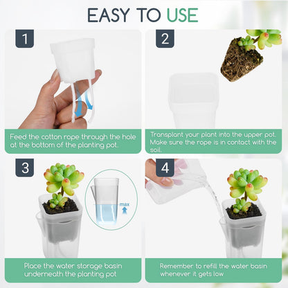 FIMXSD 12 Pack 2" Small Self-Watering Planter Pots - Mini Clear Seed Starter Pots with Visible Water Level, Plastic Nursery Pots for Succulents, Herbs, and Propagation - Includes 12 Plant Labels