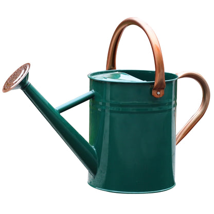 SunnyTong Metal Watering Can for Outdoor and Indoor Plants, Watering Can Decor, 1 Gallon (NewGreen)