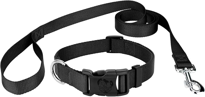 Country Brook Petz - Everyday Nylon Dog Collar and Leash - 10+ Cool Colors (3/8 Inch, Extra Small, Black)