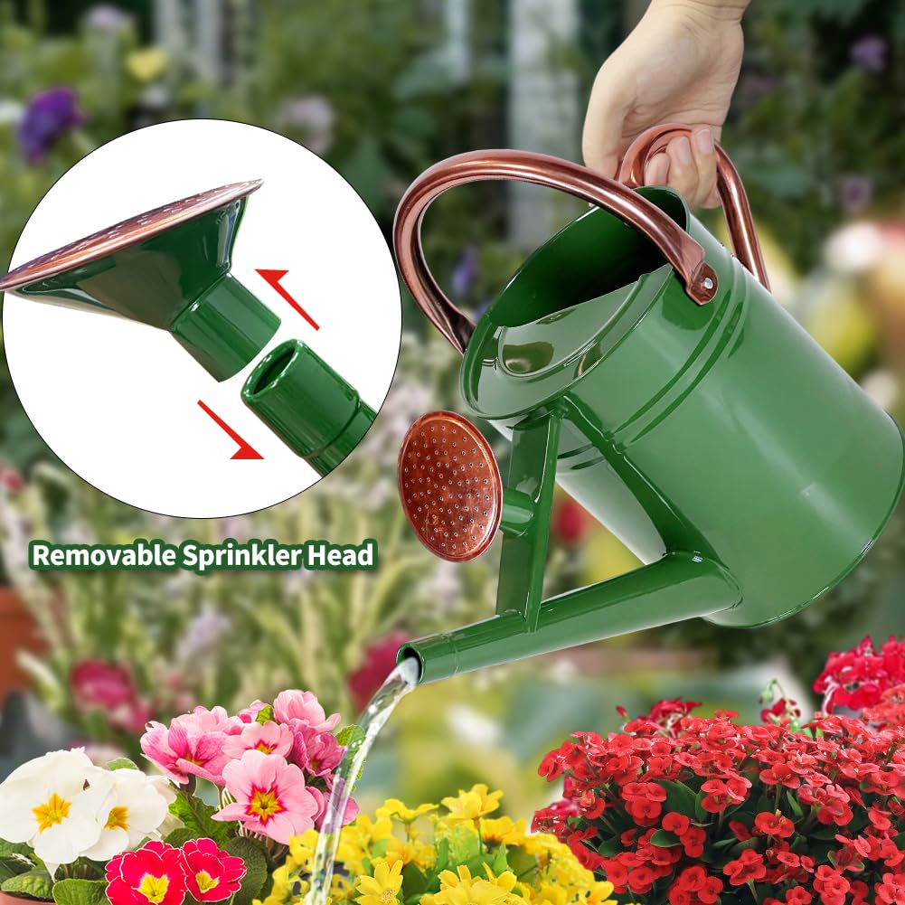 Megawodar 1 Gallon Metal Watering Can with Removable Spout, Nice Galvanized Steel Water Can for Indoor and Outdoor Plants (House Plants)
