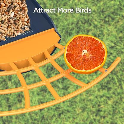 Birdkiss Smart Bird Feeder with Camera, Birds Watching Camera, Auto Capture Birds Videos & Motion Detection, AI Identify Species, Wireless Bird Feeders for Outdoors, Ideal Present for Mom