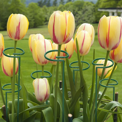 Unves 16" Tall Plant Support Stakes, 12 Pack Garden Flower Plant Stakes Single Stem, Garden Plant Support Cages Rings for Amaryllis Orchid Peony Rose, with 100 Pcs Twist Ties