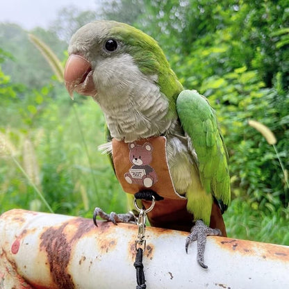 Bird Diaper Harness Flight Suit Clothes, Parrot Flight Suit with Leash for Parrot, Bird Flying Clothes with Rope and Handle for Outdoor Activities Training (Caique,Without Leash)