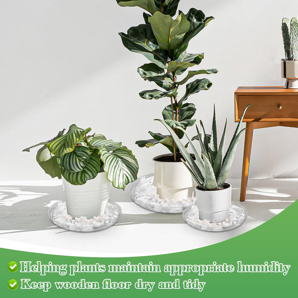 ANPHSIN 15 pcs Heavy-Duty Plant Saucers with Feet, 6in/8in/10in Clear Plastic Plant Drip Trays, Flower Pot Water Catchers Drainage Saucers for Indoor Outdoor Potted Plant