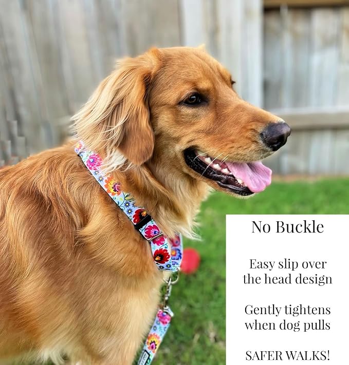 Lucky Love Dog Martingale Dog Collar & Leash - Adjustable, No-Slip, Durable, Comfortable, Soft Webbing, & Stylish Patterned Collar & Leash Set for Male and Female Dogs - Ladybird Combo, Small