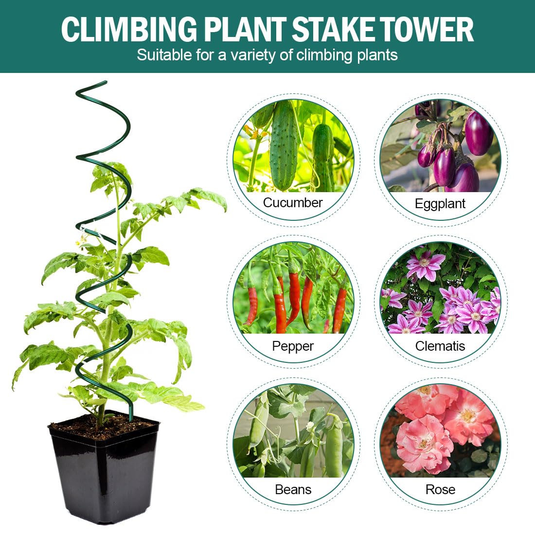 LAKNUAL 58" Green Plant Supports Spiral Tomato Cages, 10 Pack Metal Twisted Tomato Stakes Climbing Plant Stake Tower Outdoor Indoor