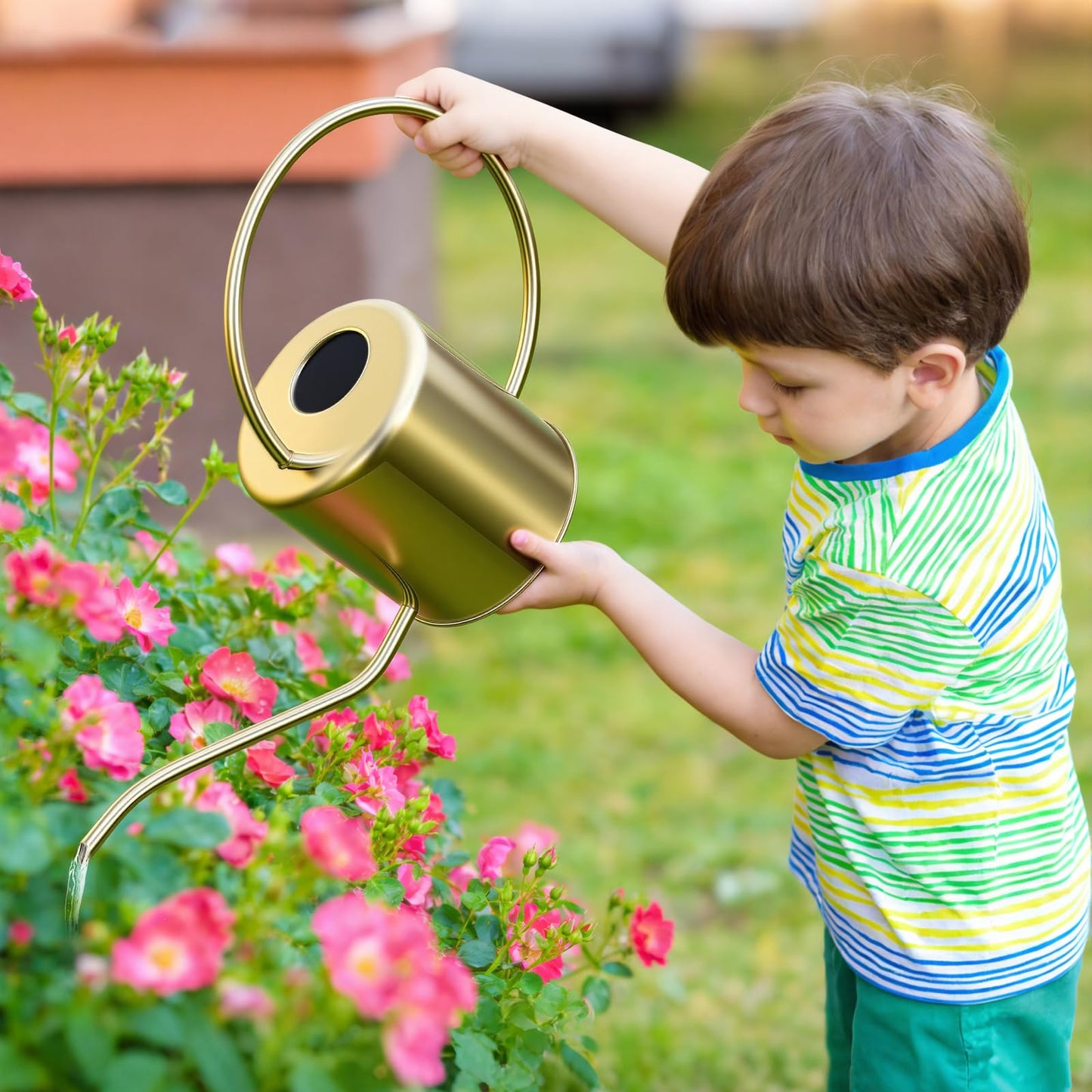 Plant Watering Can, 50 oz / 1500 ml Stainless Steel Metal - Modern Decorative with Long Spout for Indoor Potted Plants, Bonsai, Garden Flowers, Gold
