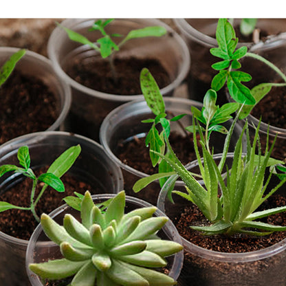 OUPSAUI 21 Pack 3.5/5/6 Inch Clear Nursery Pots for Plants, Clear Plant Pots with Drainage Holes, Flexible Plastic Plant Pots, Seedling Planter Seed Starter Pots(3.5+5+6 Inch)