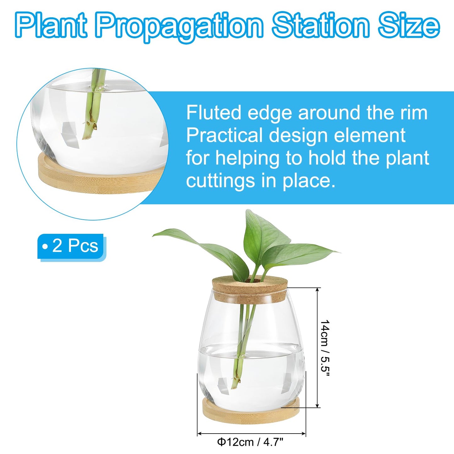 PATIKIL Plant Propagation Station Glass Vases, 2 Pack Desktop Round Planter Terrarium Vase with Wooden Tray & Lid for Hydroponic Office Home Decor Plants Indoor, Brown