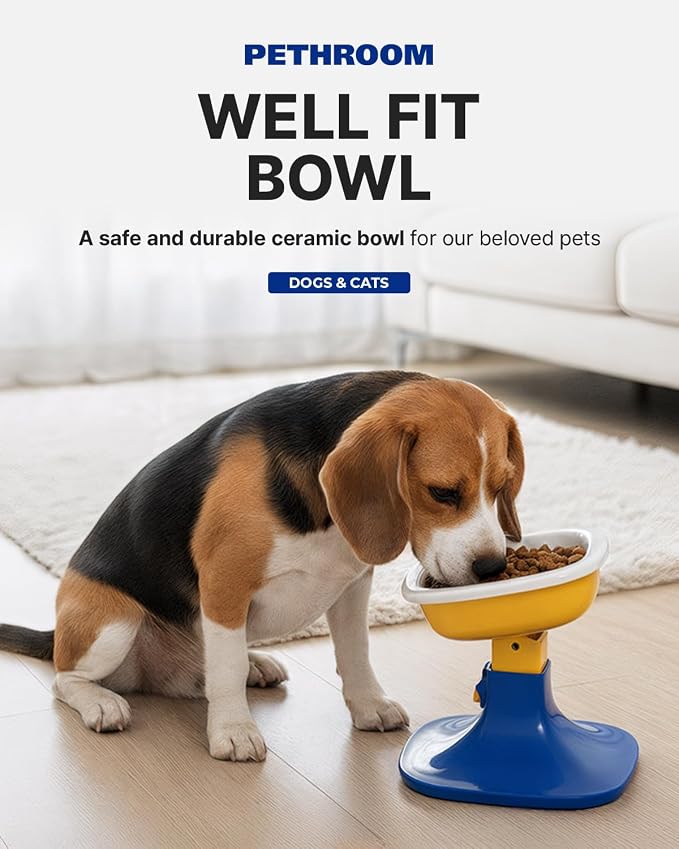 PETHROOM Well Fit Dog Bowl – Durable Ceramic Cat & Dog Food and Water Bowl, Stable & Non-Slip Silicone Base, Easy to Clean, 6.2 × 6.2 × 2.0 in, Green