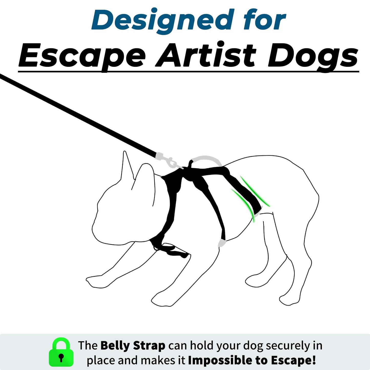 Wuffley Escape Proof Dog Harness and Leash Set, Lightweight Dog Harness with Lift and Assist Handle, No Pull Reflective Pet Vest for Small Medium Dogs, Ideal for Puppy Walking and Training (Black,XS)