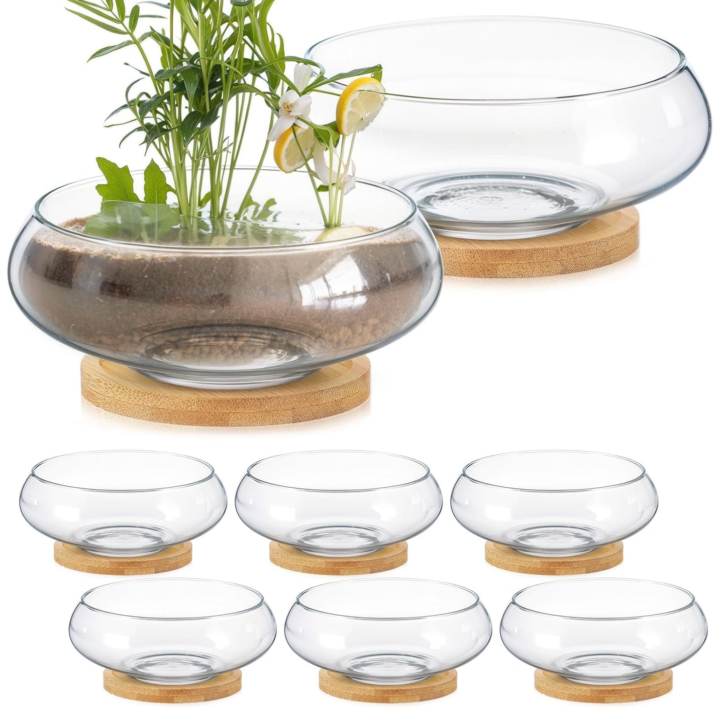 Baderke 8 Sets Glass Planter Bowls for Flowers with Tray 6'' Round Glass Vase Bowl Hydroponic Lotus Planter Pot Propagation Vases Fish Bowl for Plants Indoor Windowsill Kitchen Desktop Wedding Decor