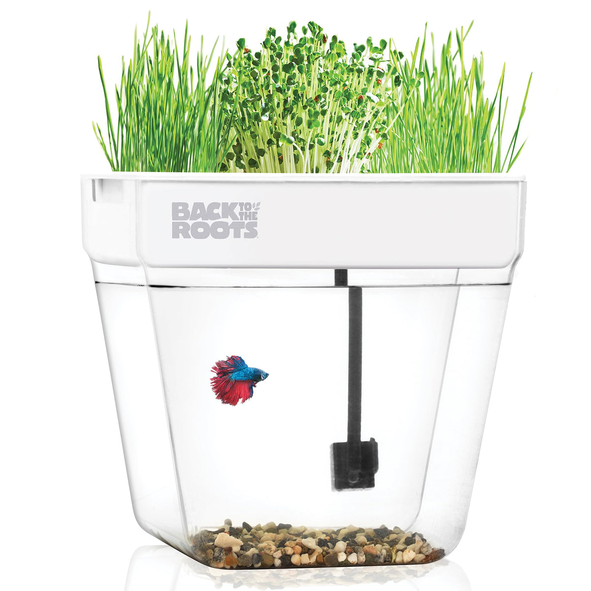 Back to the Roots Indoor Aquaponic Garden - 3 Gallon Self Watering, Mess-Free Planter and Self-Cleaning Fishtank for Herbs, Microgreens, Bamboo, Succulents, and Houseplants, support Fish