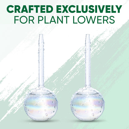 Mission Gallery Clear Plant Watering Globes Set of 2 - Small Self Watering Globes for Indoor & Outdoor Plants - Automatic Glass Watering Bulbs for Daily Use, Plant Watering Devices