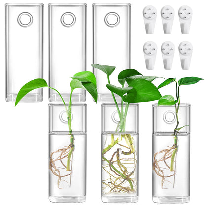 Fasmov 6 Pack Wall Hanging Glass Planters, Terrarium Holders for Air Plants, Succulents, Flowers - Square, Clear Vase Containers for Plant Display and Decoration