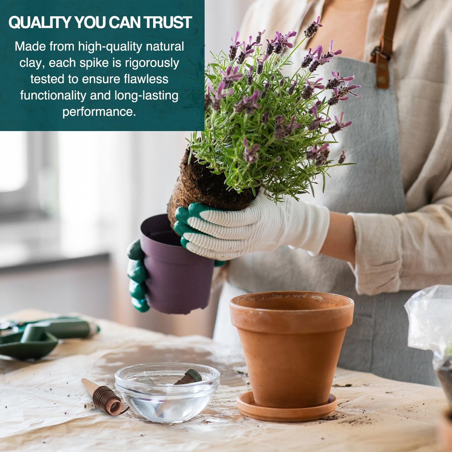Blumat Classic Self-Watering Stakes - Prevents Overwatering and Underwatering for Healthy Growth While You are Away - Ideal for Indoor Plant Watering, 3 Pack, wo Adapter