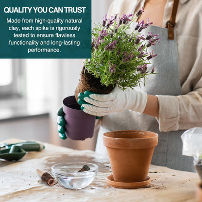 Blumat Classic Self-Watering Stakes - Prevents Overwatering and Underwatering for Healthy Growth While You are Away - Ideal for Indoor Plant Watering, 3 Pack, wo Adapter