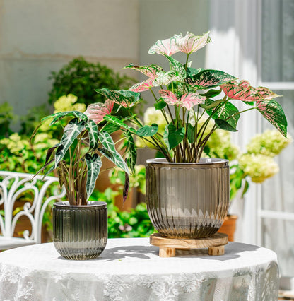 Melphoe Self Watering Pots for Indoor Plants Planter, 8.3/5.3 Inch 2 Pack Planters Self Watering Plant Pots for Flower, Houseplants, Succulent, African Violets and Cactus with Drainage