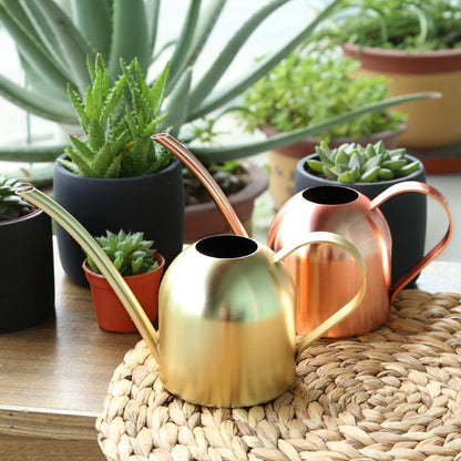 E.Palace Small Watering Can Indoor Plants Metal Watering Cans 15oz Capacity Cute Design for House Plants & Gardens (Rose Gold 15 oz)