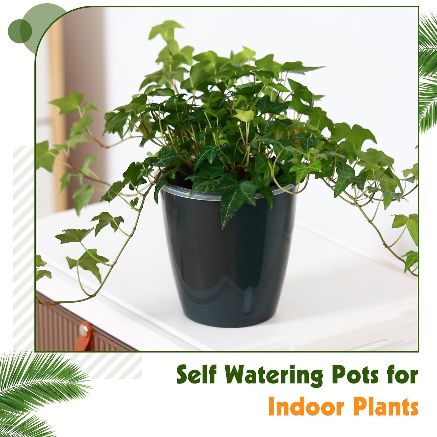KvyusFlourish Self Watering Pots for Indoor Plants, 6-Pack 5'' Self Watering Planter with Drainage Holes, Small African Violet Pots with Water Indicator, Clear Wick Orchid Pot, Black
