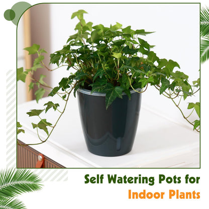 KvyusFlourish Self Watering Pots for Indoor Plants, 6-Pack 5'' Self Watering Planter with Drainage Holes, Small African Violet Pots with Water Indicator, Clear Wick Orchid Pot, Black