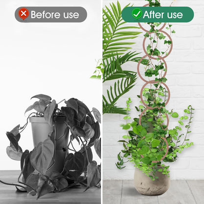 20pcs Round Chain Trellis for Climbing Plants Indoor, with 8pcs Self-Adhesive Hooks, HSSZXFR DIY Plant Climber Support for Vines and Garden Wall Trellis, for Monstera Pothos Ivy Flower