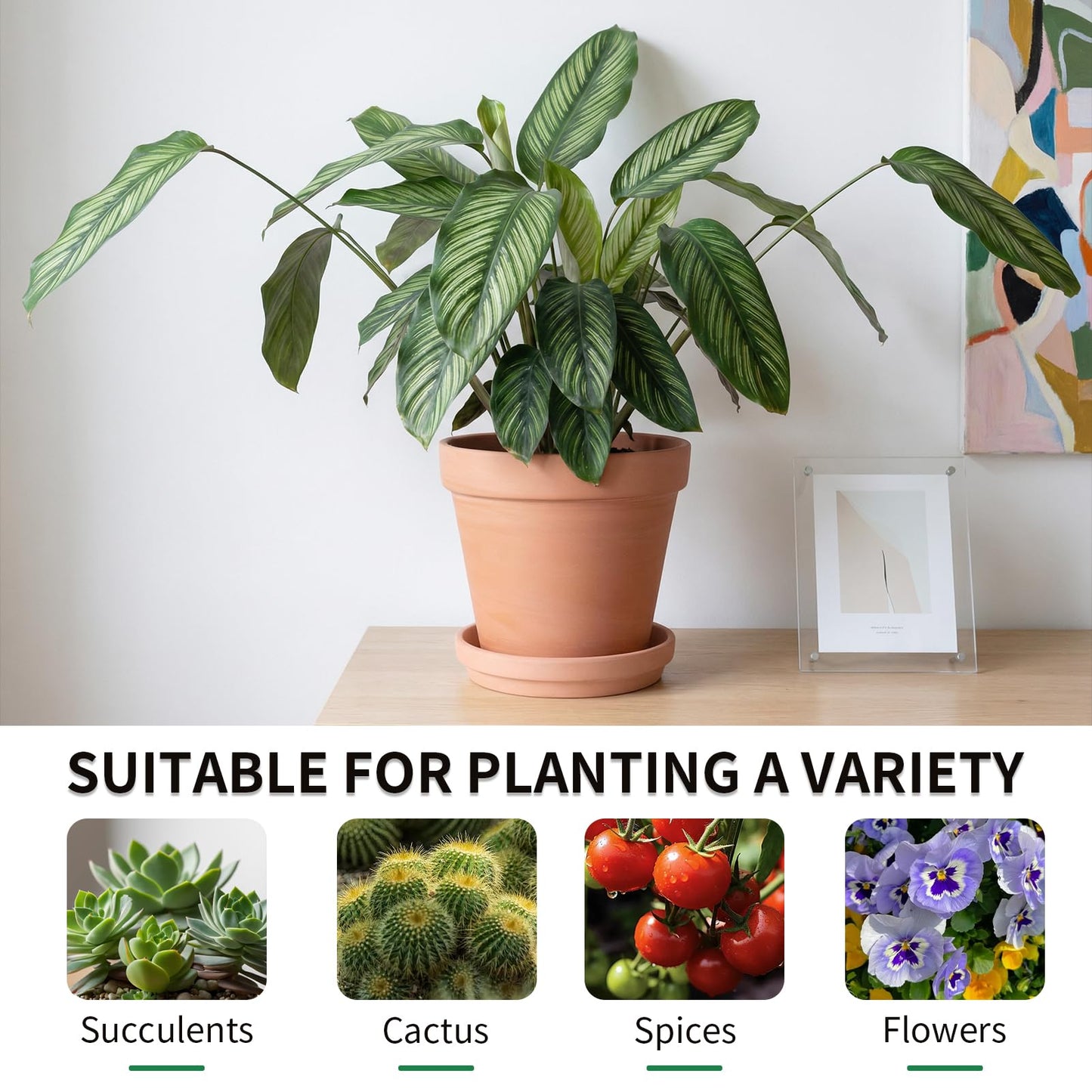 Little pot friend 4 Inch Round Terracotta Pots, 6 Pcs Planters Pots with Drainage Holes and Saucer for Indoor Outdoor Gardening, Flower
