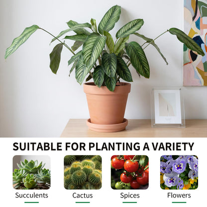 Little pot friend 4 Inch Round Terracotta Pots, 6 Pcs Planters Pots with Drainage Holes and Saucer for Indoor Outdoor Gardening, Flower