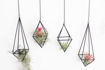 libproqia 4 Pcs Hanging Air Plants Holders Black Himmeli Large Geometric Tillandsia Air Plant Planter Hangers Airplants Display Wire Frame with Chains Wall Metal 2 Size