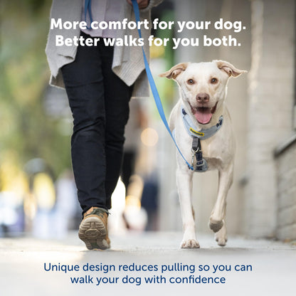 PetSafe Easy Walk Comfort No-Pull Dog Harness Full-Body Padding - Better Walks on The First Use - 5 Points of Adjustment Large, Green