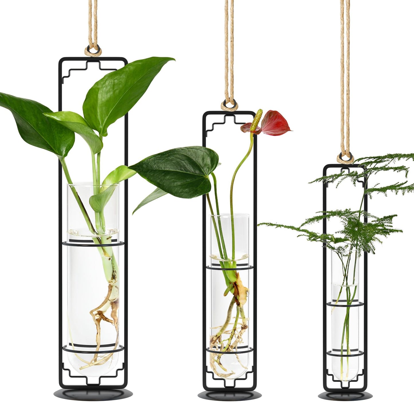 MIPON Metal Hanging Plant Propagation Station,3 Size Glass Test Tube Hydroponic Planter,Boho Wall Hanging Plant Cuttings Holder,Indoor Water Plant Terrarium Tubes for Home Office Window Decor-Black