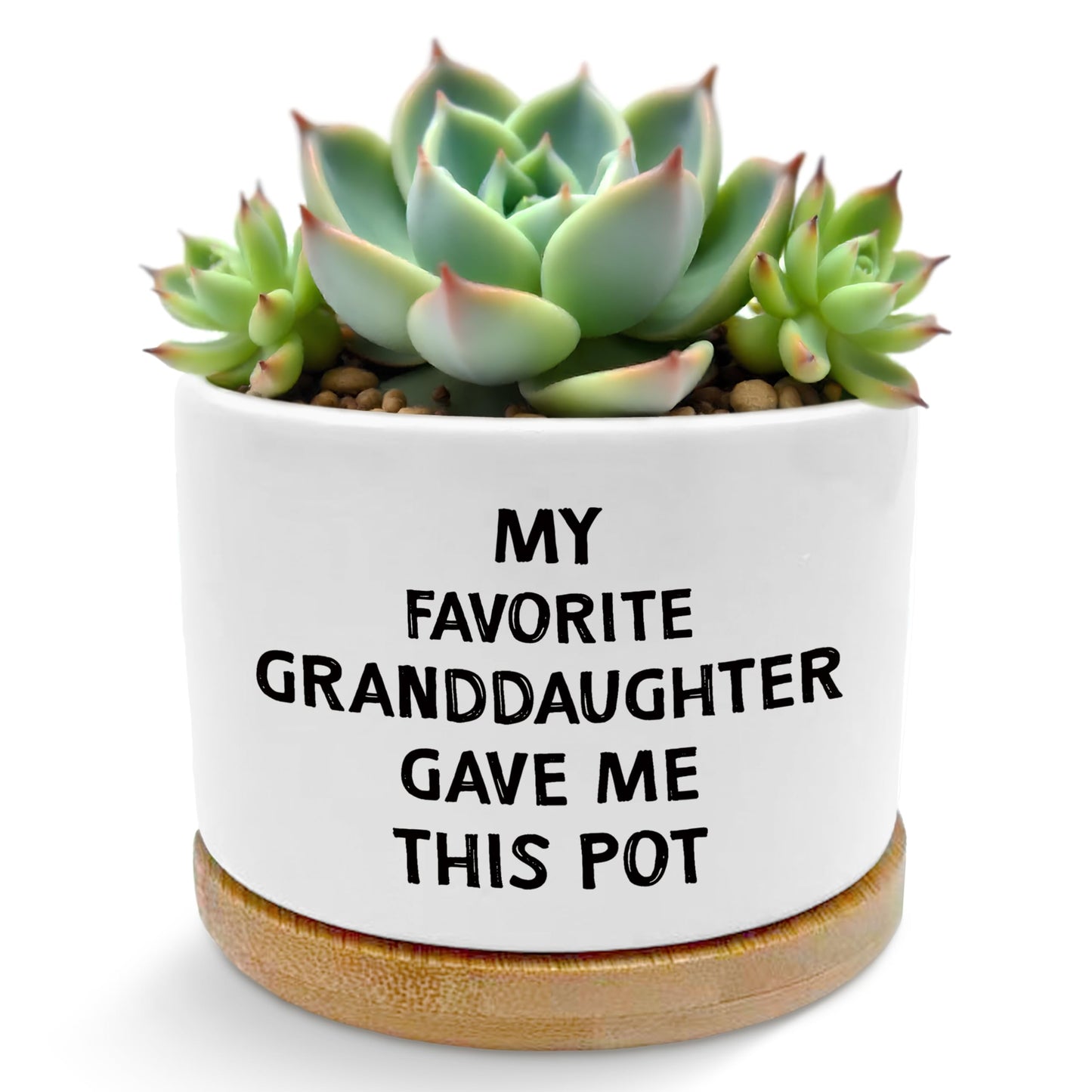 ROXMART Grandparents Gifts from Granddaughter Plant Pots, Grandma and Grandpa Gifts Succulent Planters, Gift for Grandparents Ceramic Plant Flower Pots for Home Office Desk Table Shelf(No Plants)