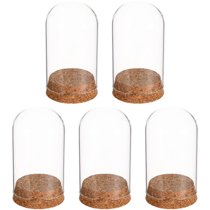 LIOOBO Glass Cloche Bell Jar with Cork Base, Tiny Display Dome for Eternal Flower And Micro Landscape, Clear Terrarium Container Bulk 5 Pack