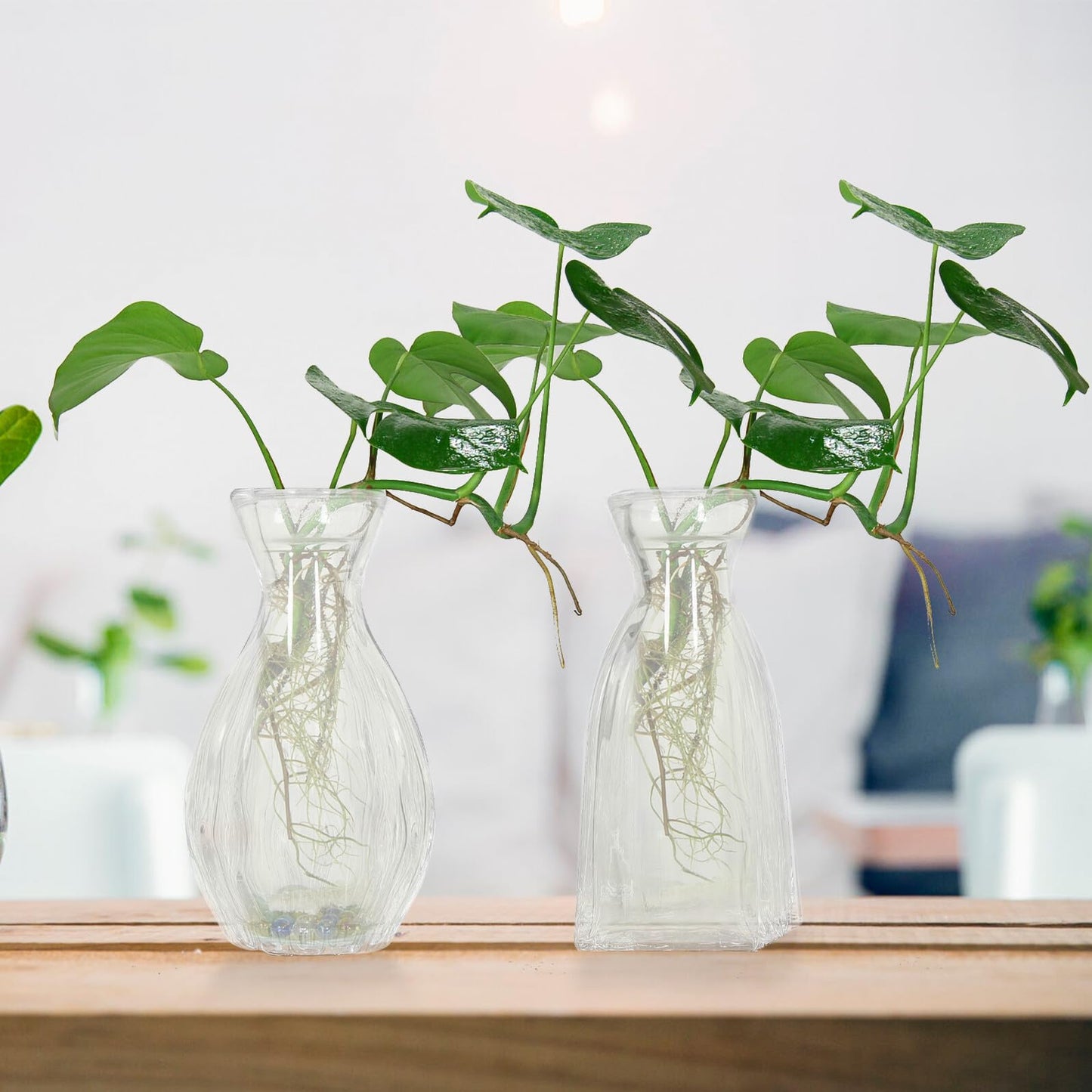 Kichvoe 4pcs Glass Flower Vase Set for Home Décor, Indoor Hydroponic Terrarium Glass Vases, Decorative Table Centerpiece for Plants and Flowers